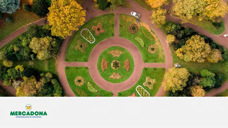 vista cenital de un jardin