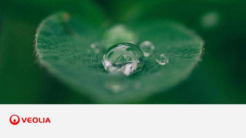 Macro close-up of a green leaf with a water droplet, with the Veolia logo on a white background below.